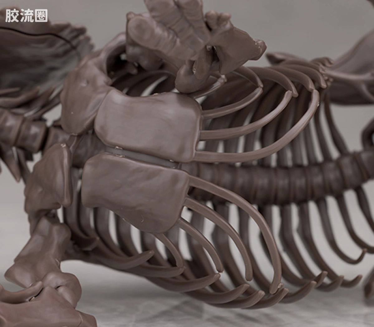 万代综合拼装模型系列 Imaginary Skeleton系列 三角龙 - 图片